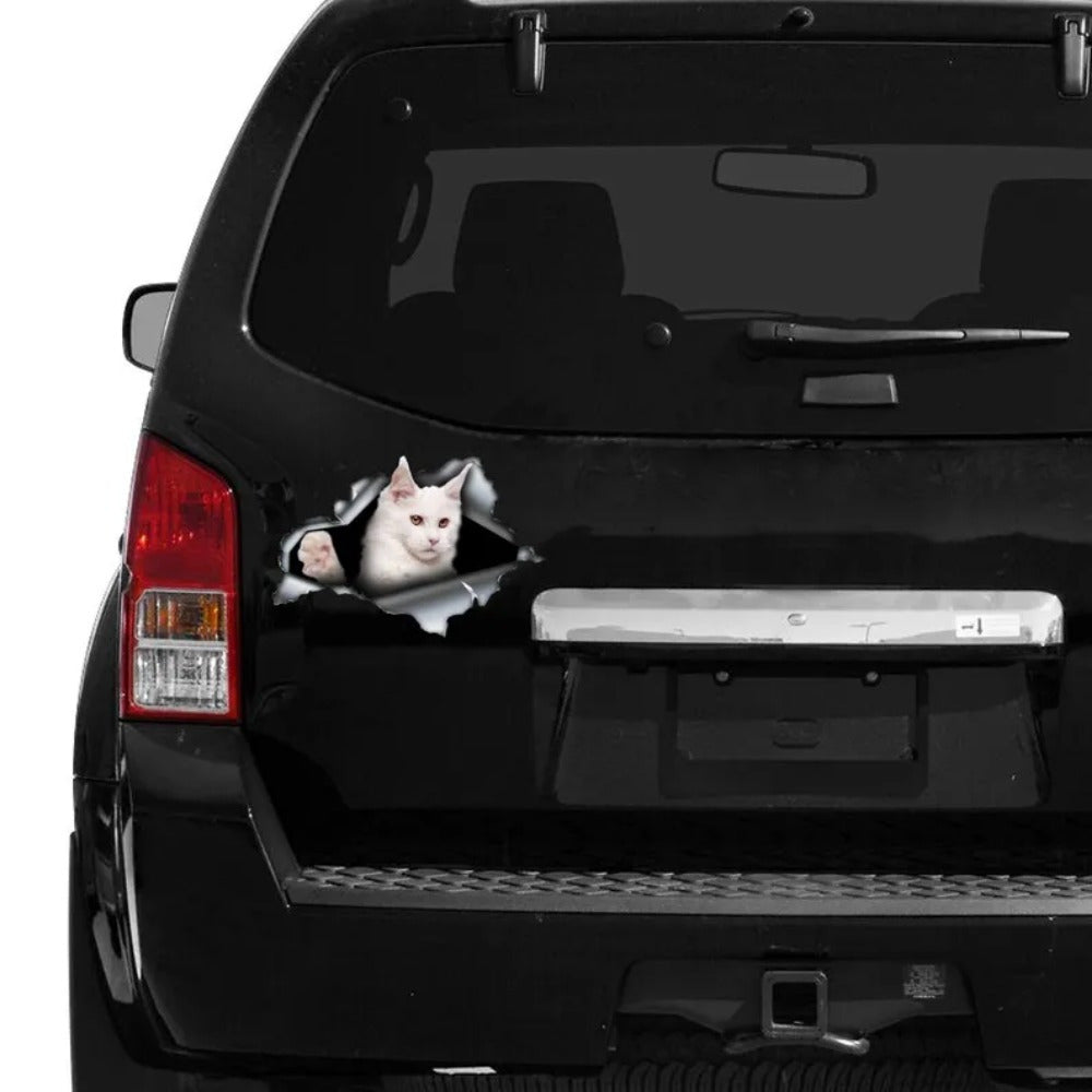 Auto sticker - Maine Coon wit
