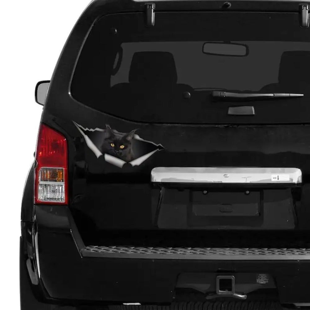 Auto sticker – Maine Coon zwart