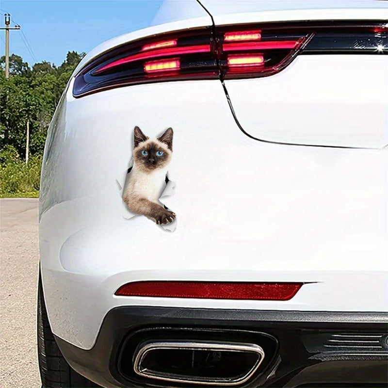 Auto sticker kat Siamees
