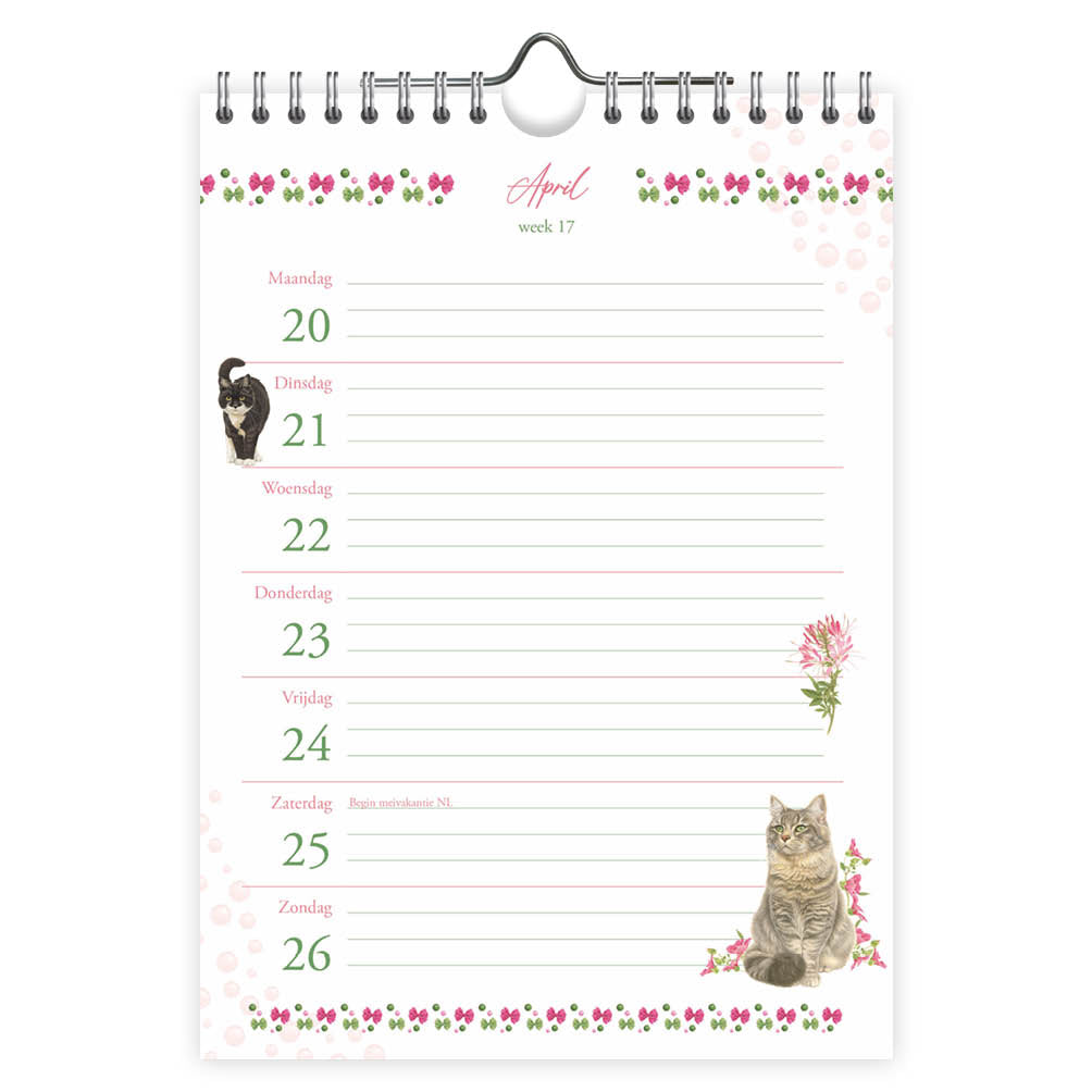 Franciens katten WEEKnotitiekalender Nacho 2026