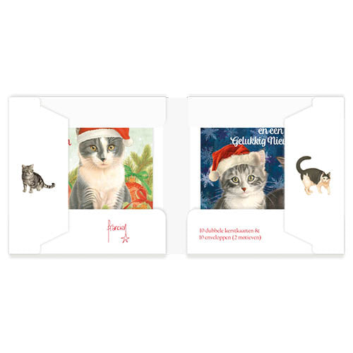 Katten kerstkaarten 10 stuks | Kat met kerstmuts – Twee kittens IJskristallen