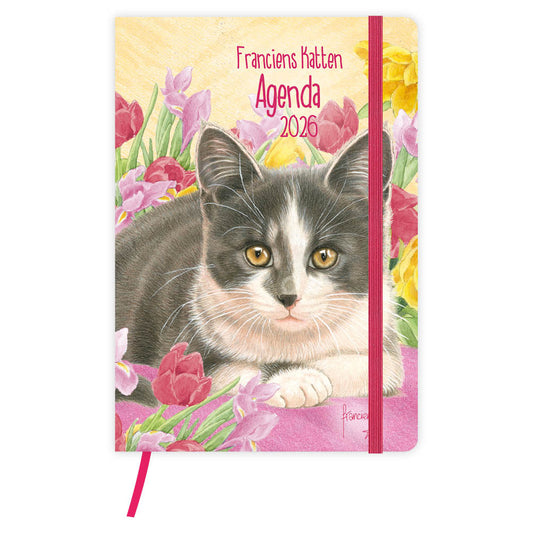 Franciens katten weekagenda Tibbe 2026