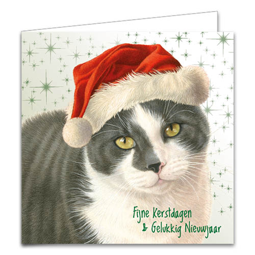 The Happy Catshop | Katten kerstkaarten 10 stuks | 2 verschillende katten met kerstmuts