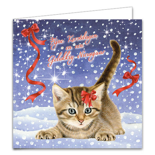 Katten kerstkaarten 10 stuks | Kittens bij kersttak – Kitten in sneeuw