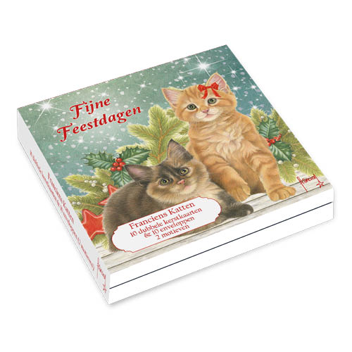 Katten kerstkaarten 10 stuks | Kittens bij kersttak – Kitten in sneeuw