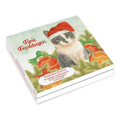 Katten kerstkaarten 10 stuks | Kat met kerstmuts – Twee kittens IJskristallen