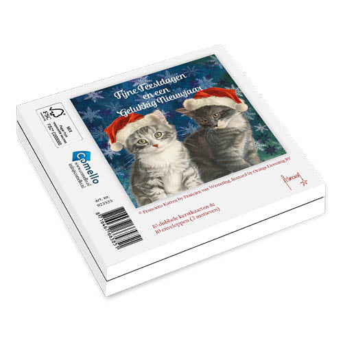 Katten kerstkaarten 10 stuks | Kat met kerstmuts – Twee kittens IJskristallen