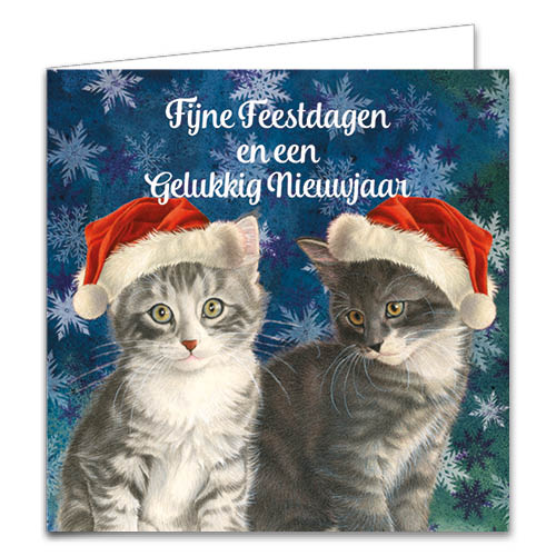 Katten kerstkaarten 10 stuks | Kat met kerstmuts – Twee kittens IJskristallen