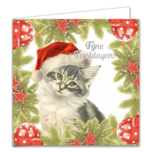 Katten kerstkaarten 10 stuks | Rode kat tussen hulst – Kitten met kerstmuts