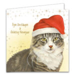 The Happy Catshop | Katten kerstkaarten 10 stuks | 2 verschillende katten met kerstmuts