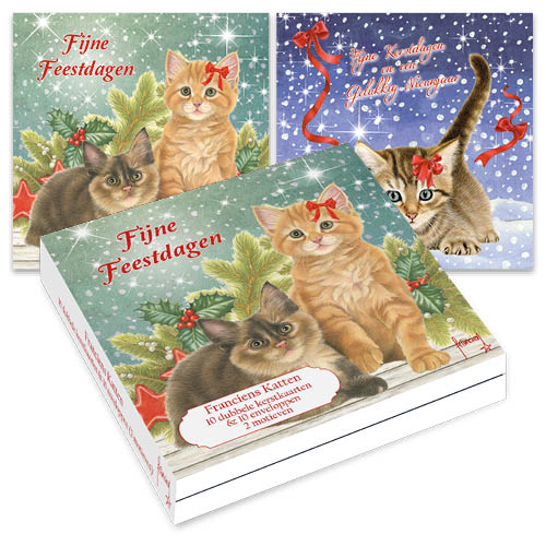Katten kerstkaarten 10 stuks | Kittens bij kersttak – Kitten in sneeuw