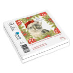 Katten kerstkaarten 10 stuks | Rode kat tussen hulst – Kitten met kerstmuts