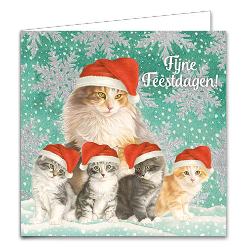 Katten kerstkaarten 10 stuks | Poes met 4 kittens – Rood wit kitten
