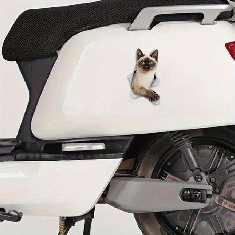 Auto sticker kat Siamees