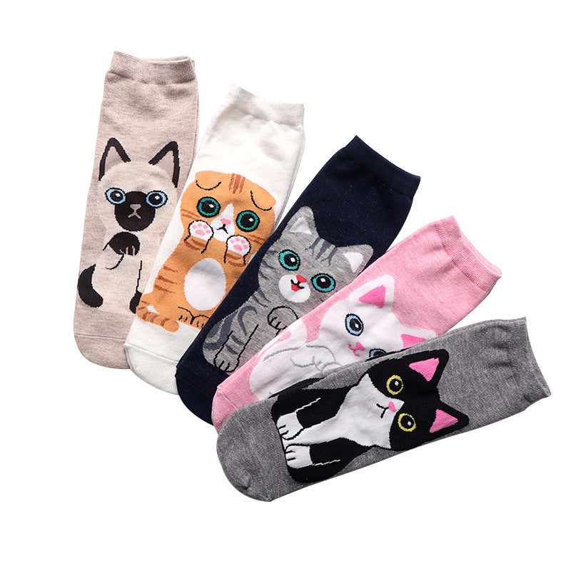 Kattensokken 5 paar met raskatten