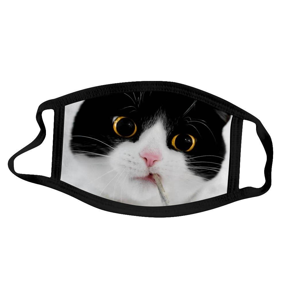 Katten mondkapje zwart witte kat | Wat is dan nou?