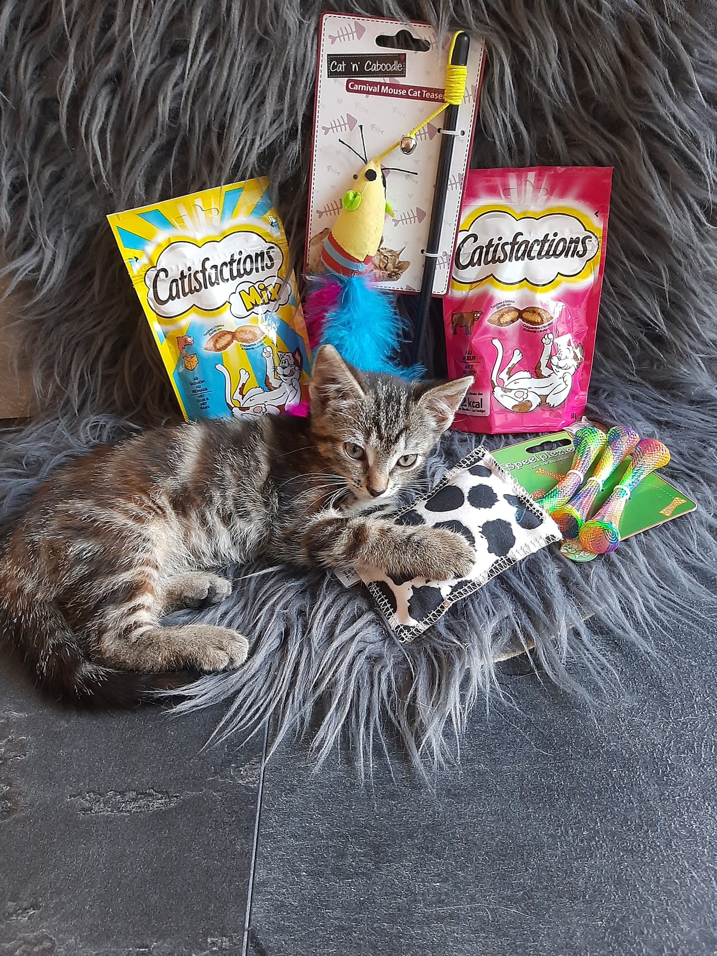 KATTEN VERWEN PAKKET😻 | KLEIN