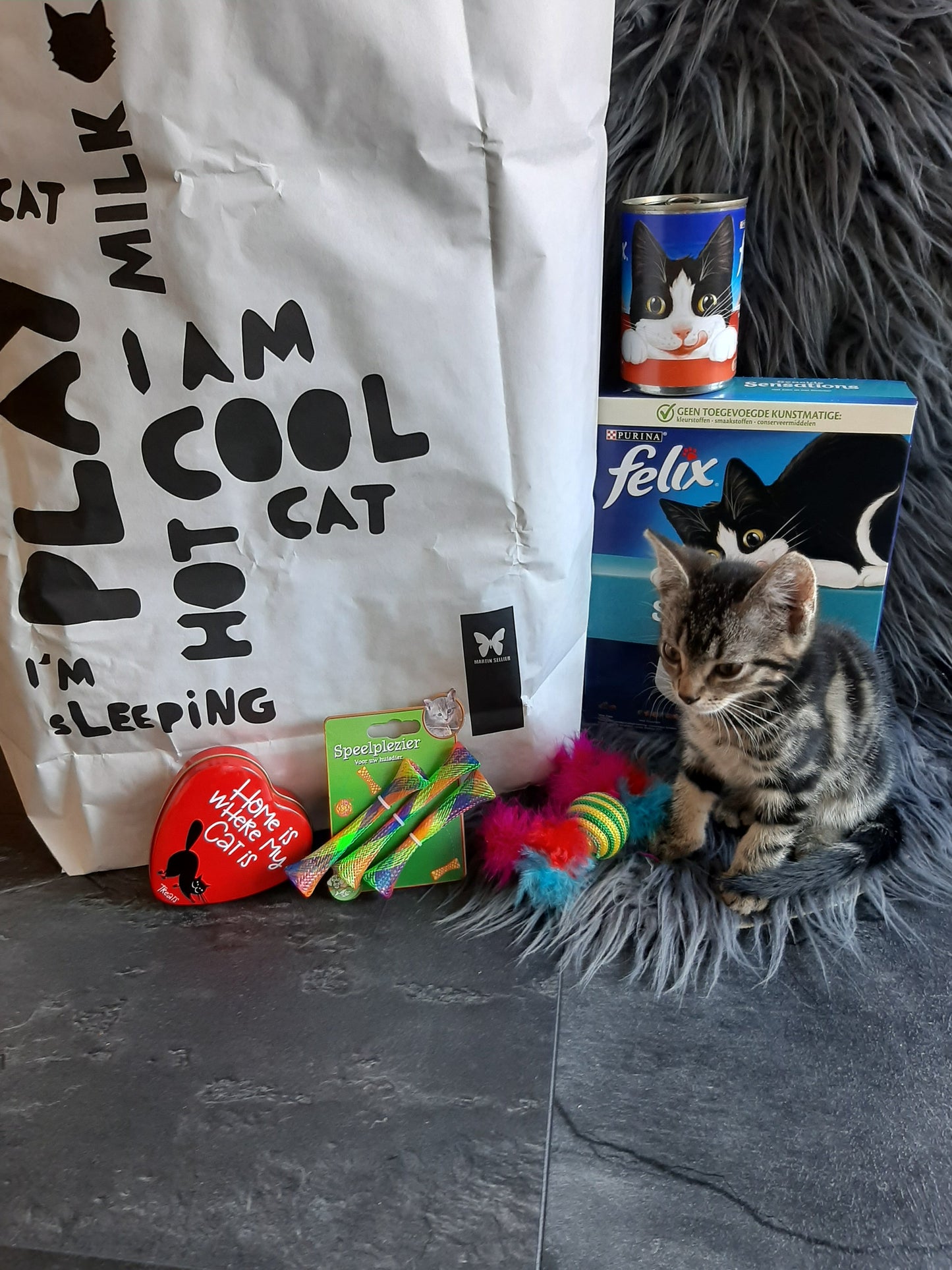 KATTEN VERWEN PAKKET 😻 | GROOT