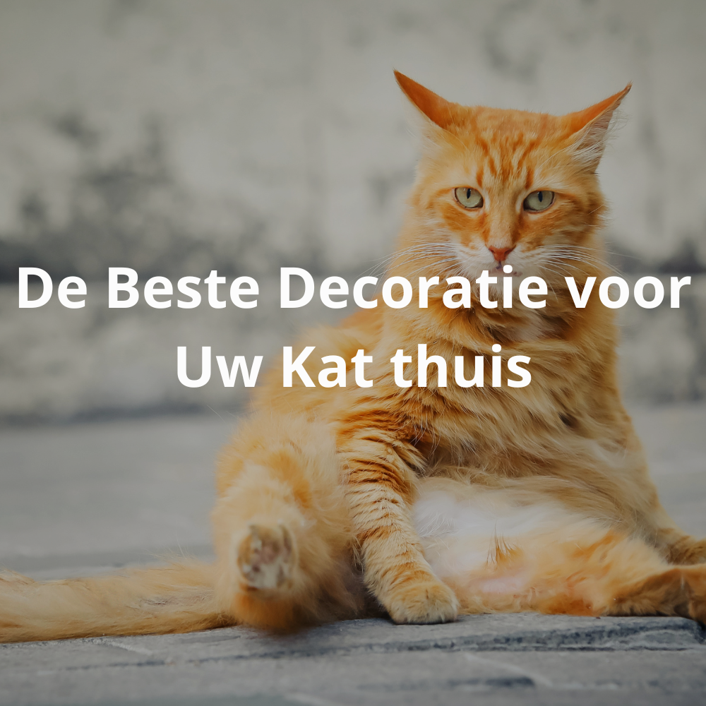 Een moderne woonkamer met een comfortabele kat bed en een aantrekkelijke kat krabpaal.