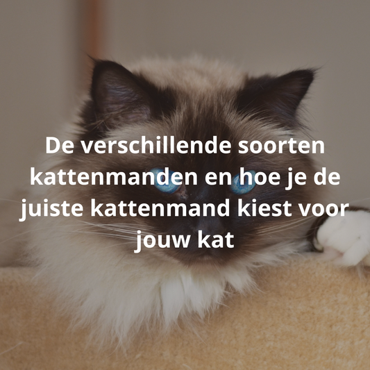 De verschillende soorten kattenmanden en hoe je de juiste kattenmand kiest voor jouw kat