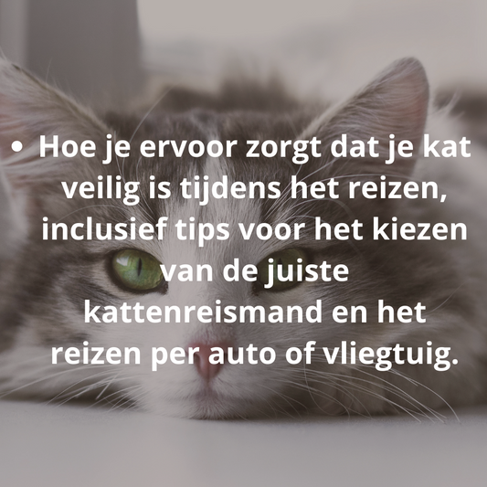 Hoe je ervoor zorgt dat je kat veilig is tijdens het reizen, inclusief tips voor het kiezen van de juiste kattenreismand en het reizen per auto of vliegtuig.