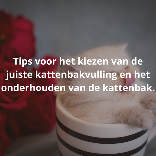 Tips voor het kiezen van de juiste kattenbakvulling en het onderhouden van de kattenbak.