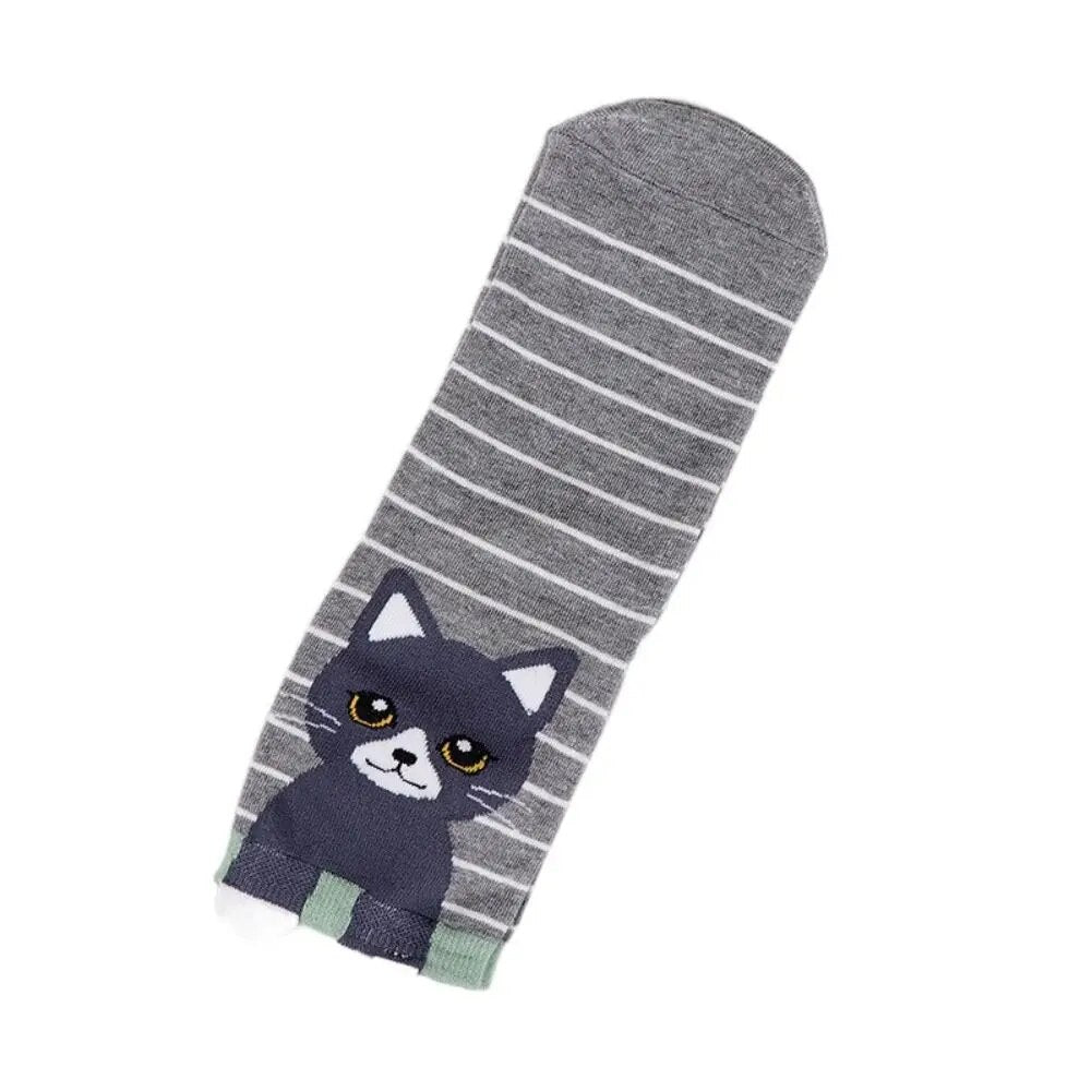 Katten sneakersokken 5 paar met verschillende katten, strepen en stippen