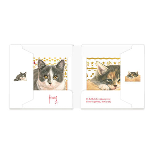 Katten kerstkaarten 10 stuks | Kittens met goudpatroon