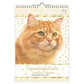Verjaardagskalender Franciens Katten “Jeroen”