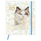 Franciens katten Weekplanner Lizzy 2027