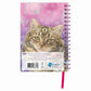 Franciens katten luxe spiraalagenda Blitz 2027