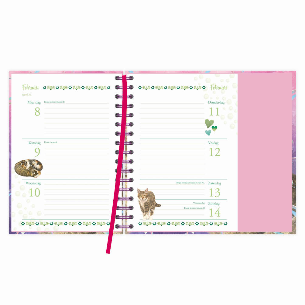 Franciens katten luxe spiraalagenda Blitz 2027