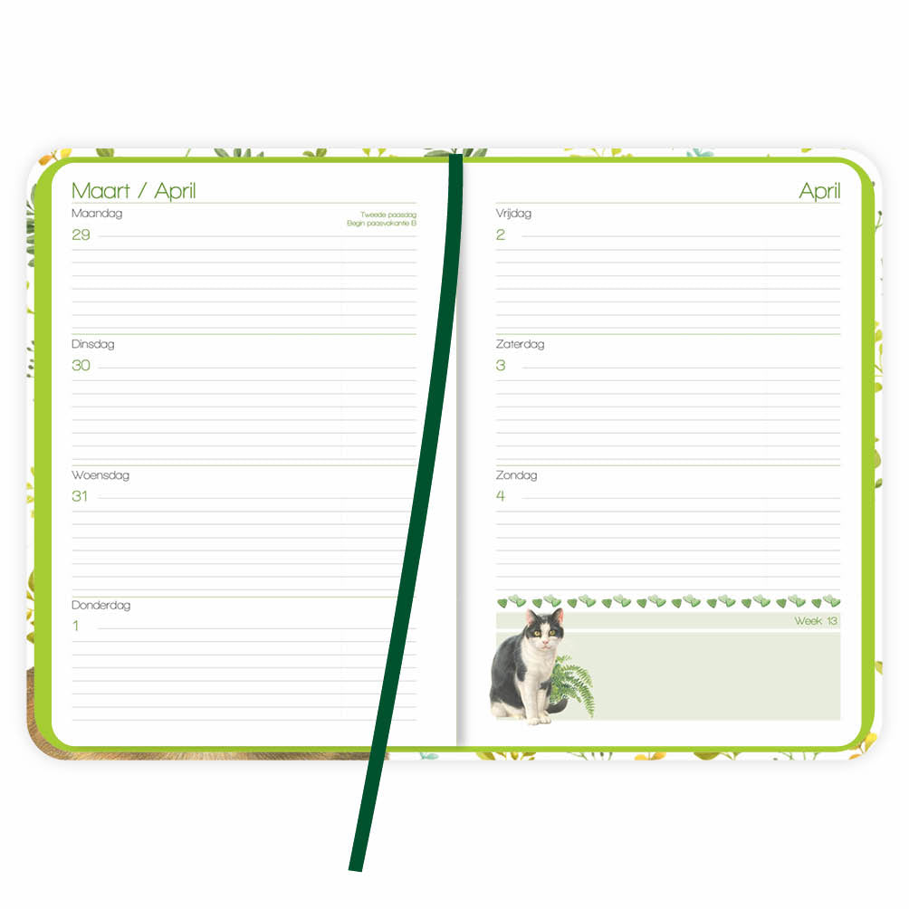 Franciens katten weekagenda Lea 2027