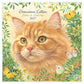 Franciens katten kalender 2027
