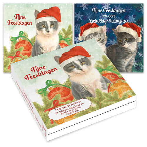 Katten kerstkaarten 10 stuks | Kat met kerstmuts – Twee kittens IJskristallen