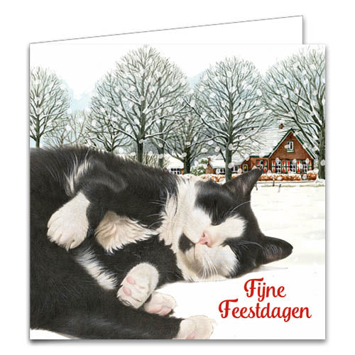 Katten kerstkaarten 10 stuks | Tuxedo kat in sneeuw – Kittens met kersttak en rode kerstdecoratie