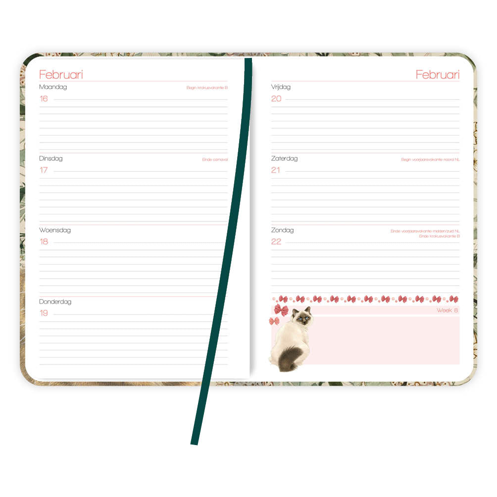 Franciens katten weekagenda Naughty 2026