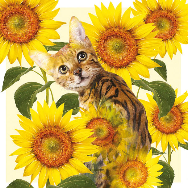 Katten kaart - kat met zonnebloemen