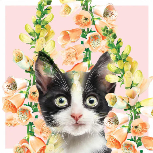 Katten kaart - zwart wit kitten met digitalis