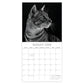 Katten portret kalender 2026 - Engels