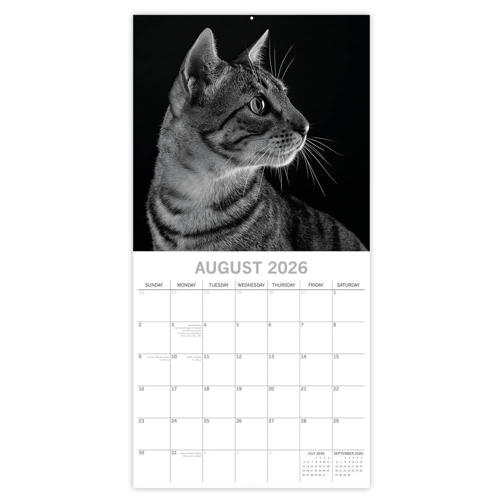 Katten portret kalender 2026 - Engels