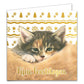 Katten kerstkaarten 10 stuks | Kittens met goudpatroon