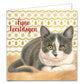Katten kerstkaarten 10 stuks | Kittens met goudpatroon