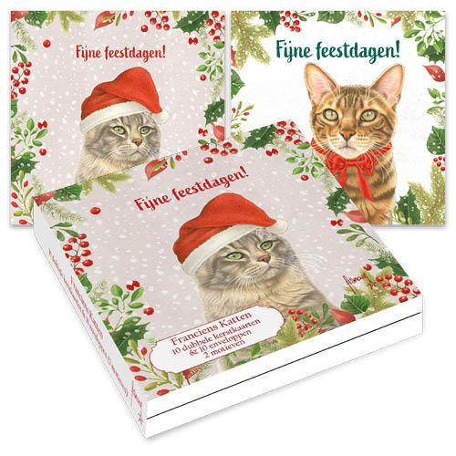 Katten kerstkaarten 10 stuks | Kat met kerstmuts – kat met strikje