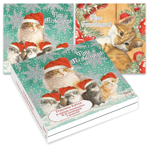 Katten kerstkaarten 10 stuks | Poes met 4 kittens – Rood wit kitten