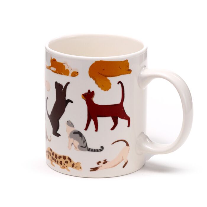 Katten mok met raskatten | Inclusief cadeaudoosje