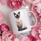Kattenmok Siamese kat
