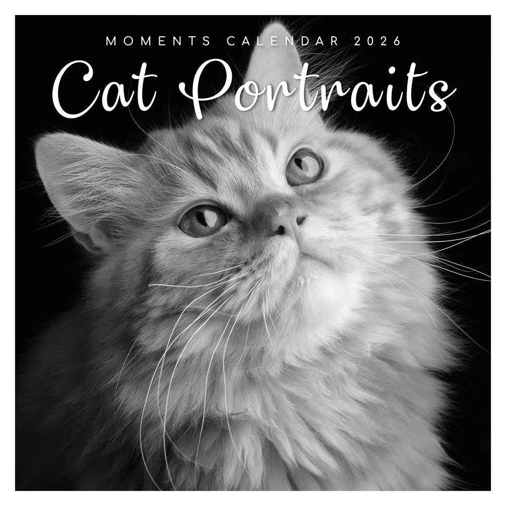 Katten portret kalender 2026 - Engels