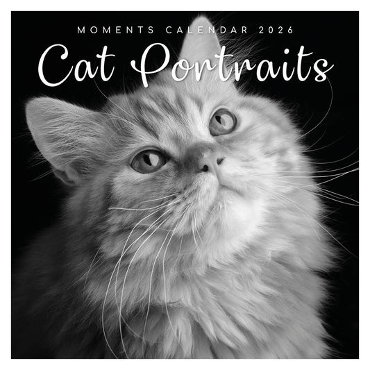 Katten portret kalender 2026 - Engels