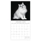 Katten portret kalender 2026 - Engels